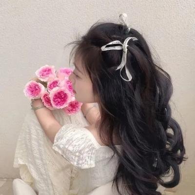 明月守护者